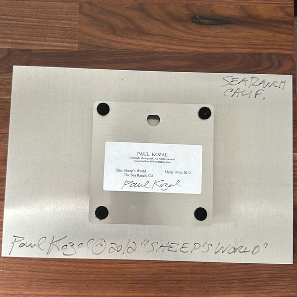 Sea Ranch, California “sheep’s world” Metal Print - Picture 2 of 4